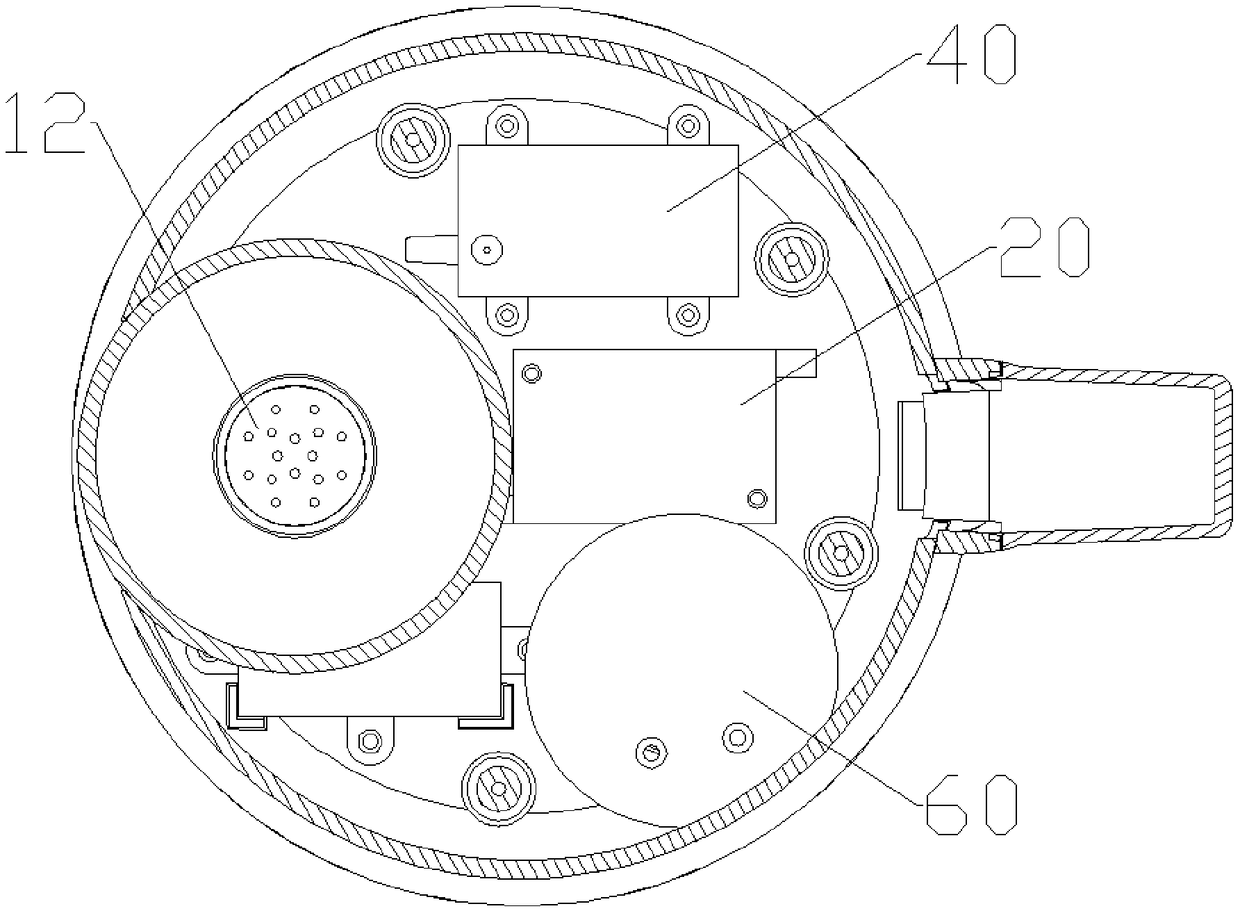 Ozone water preparation device