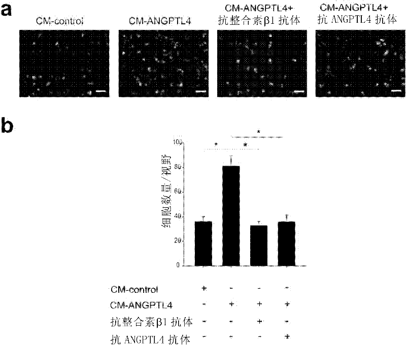 Method for regulating expression of vascular cell adhesion molecule-1 in vascular endothelial cell