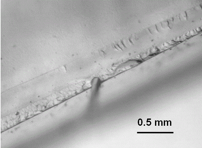 Preparation method for polymer micro-fluidic chips on basis of 3D hydrogel printing