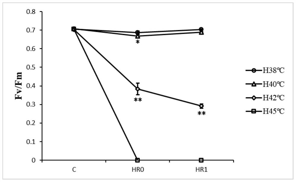 A method for improving photosynthetic carbon assimilation ability of maize under high temperature stress