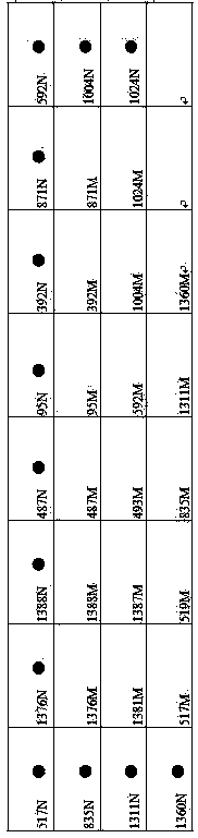 G6PD (Glucose-6-Phosphate Dehydrogenase) deficiency gene detection membrane strip and PCR (Polymerase Chain Reaction) primer