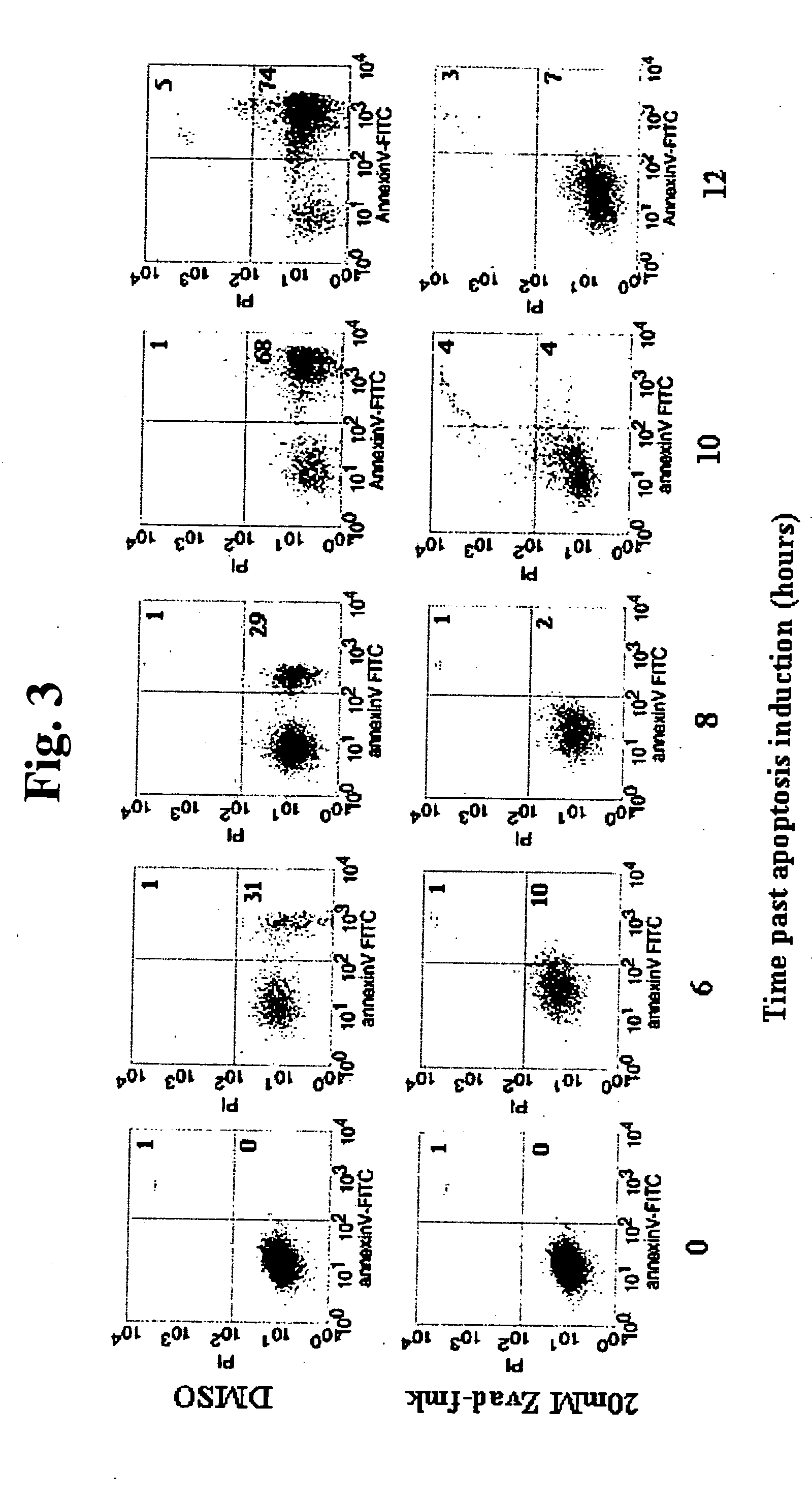 Disease therapy using dying or dead cells