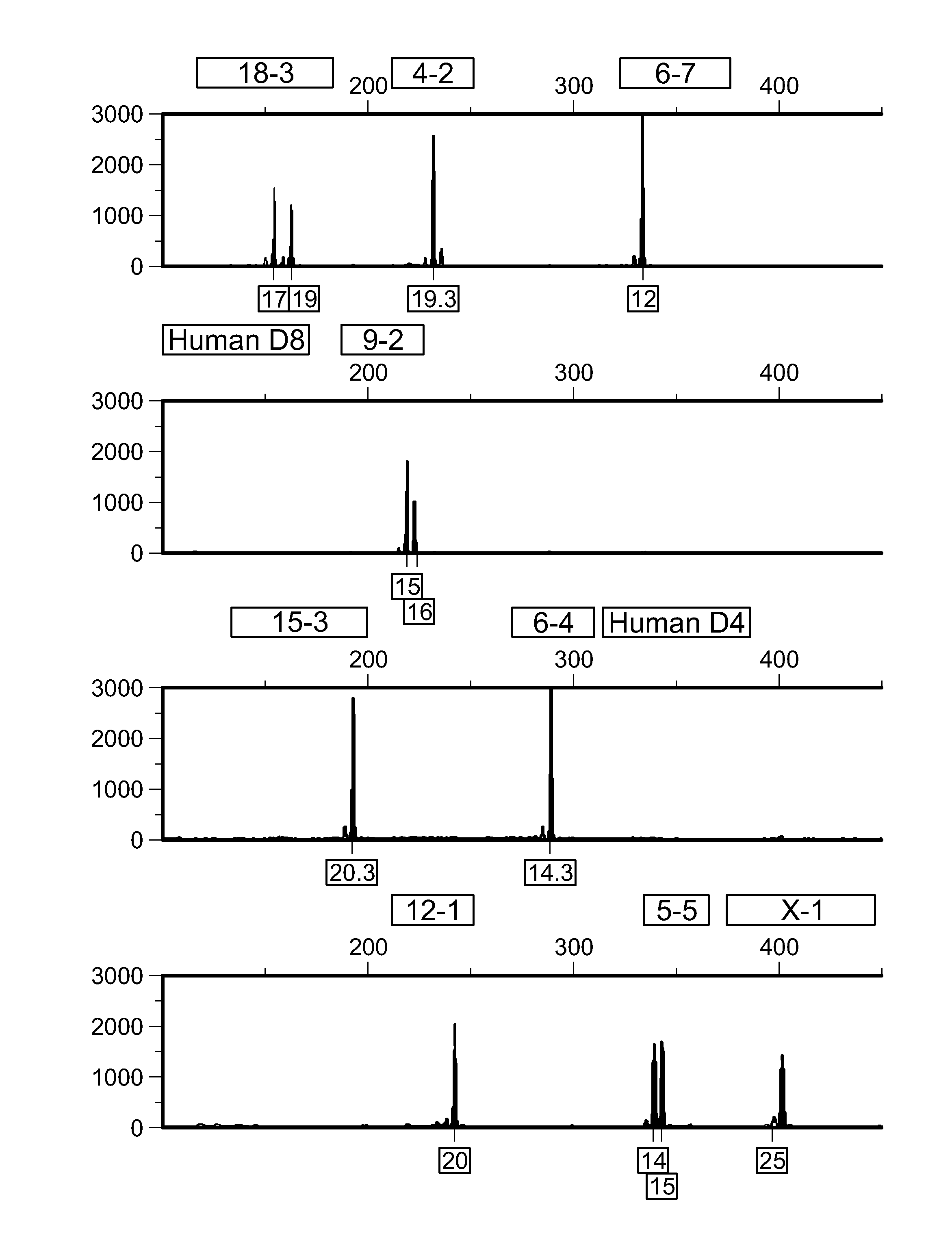 Mouse cell line authentication