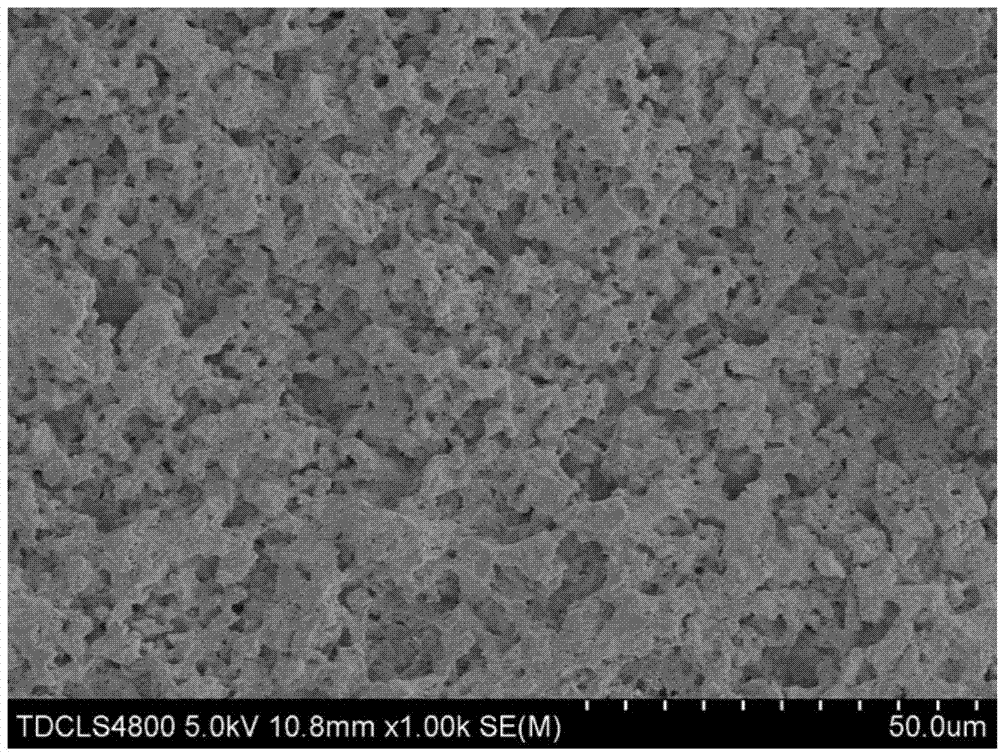 O-Sialon porous material prepared by gel-casting and preparation method thereof