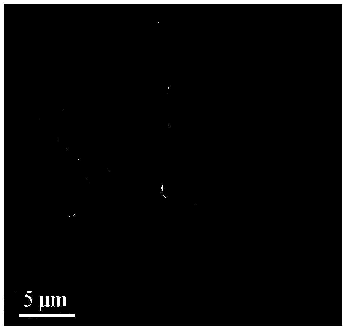 Three-dimensional porous cobalt-based/graphene composite material and preparation method thereof