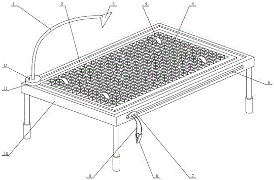 Small animal fixation rack used for biology laboratory and fixation method adopted by small animal fixation rack