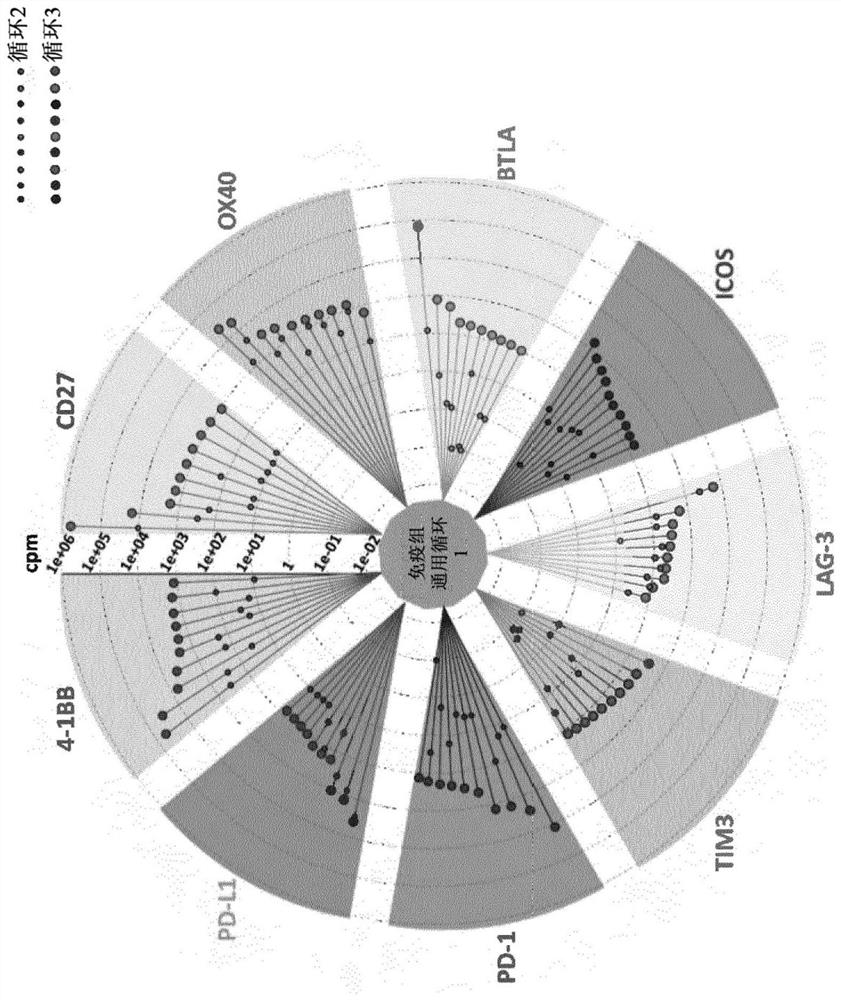 Antagonistic PD-1, PD-L1 and LAG-3 binding proteins