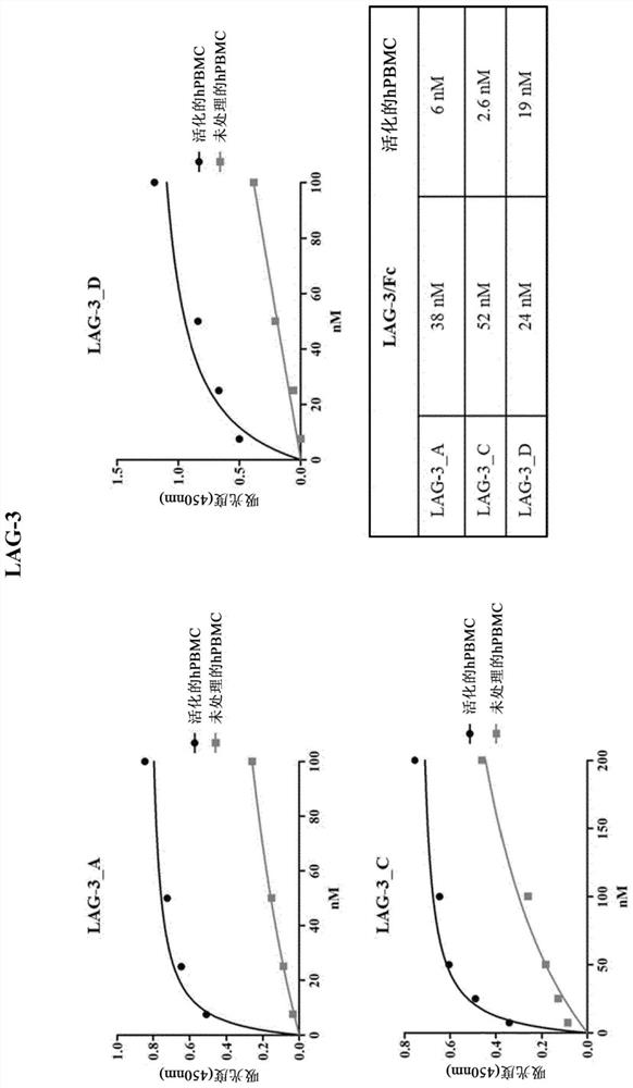 Antagonistic PD-1, PD-L1 and LAG-3 binding proteins