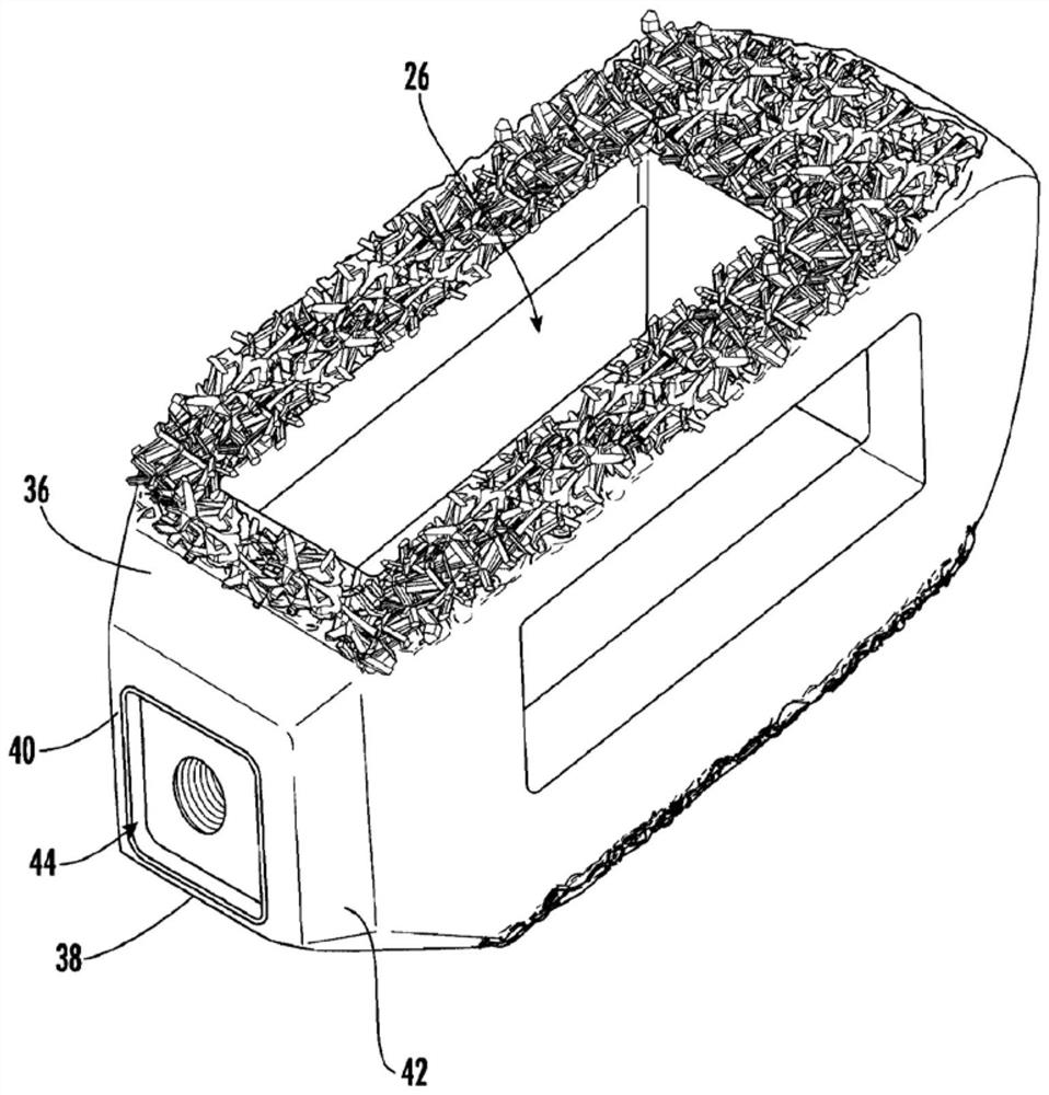 Spinal implant with surface protrusions