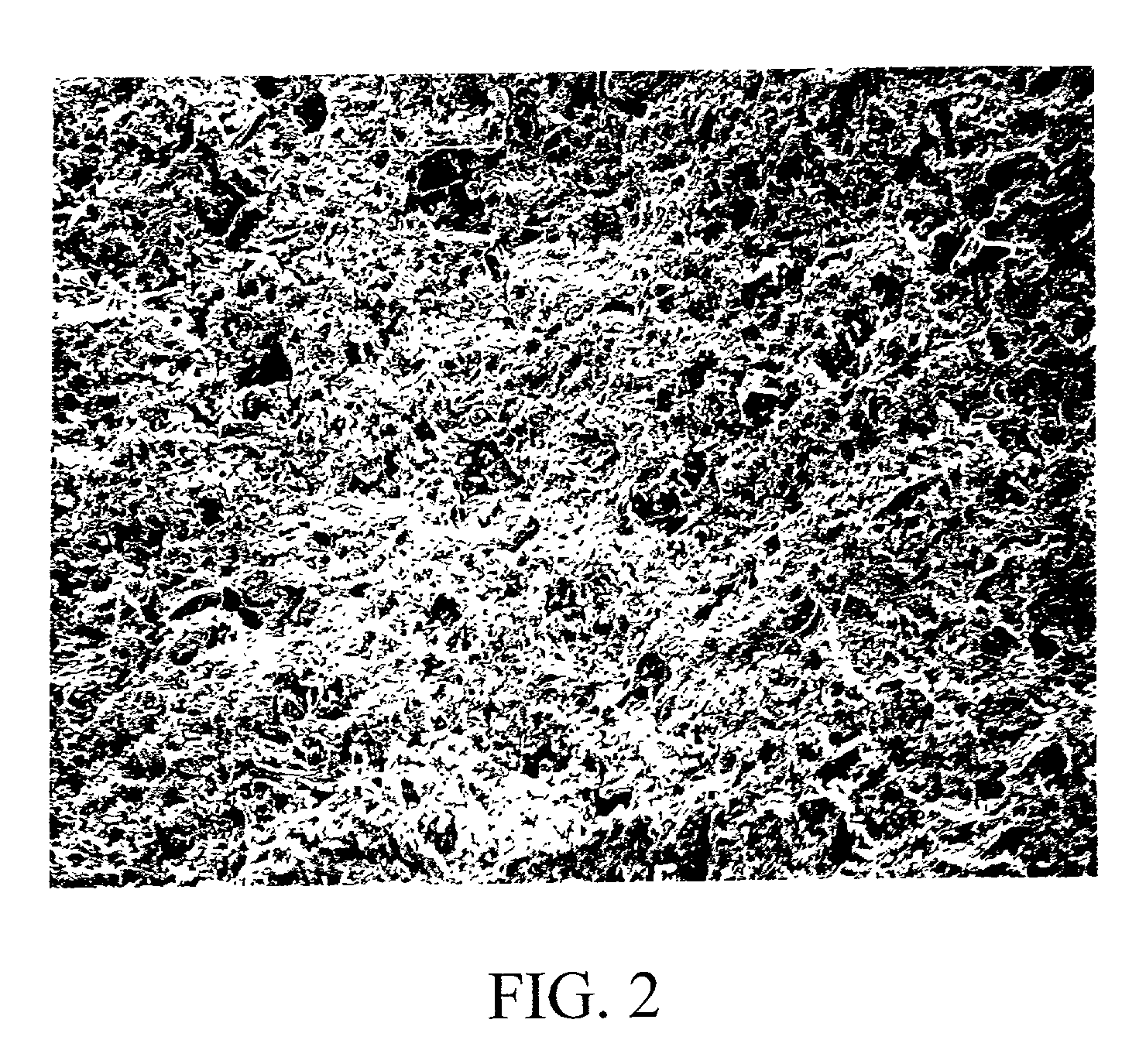 Animal litter and methods of fabricating same