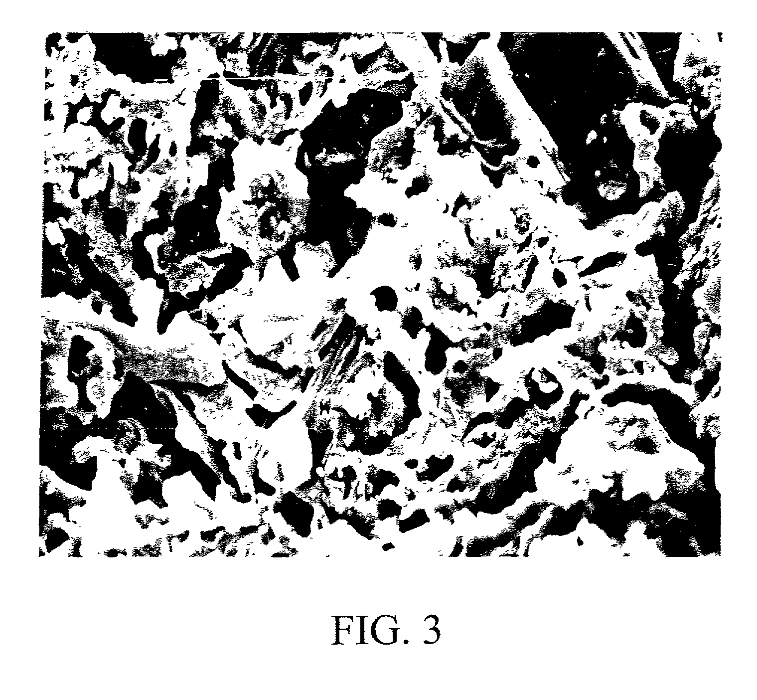 Animal litter and methods of fabricating same