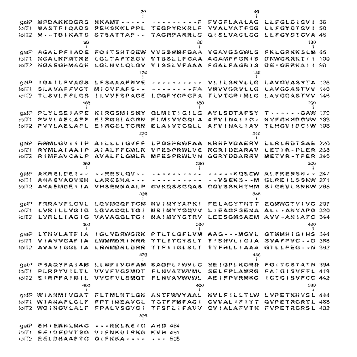 Recombinant microorganisms of <i>Escherichia </i>with L-threonine productivity and method of producing L-threonine using the same