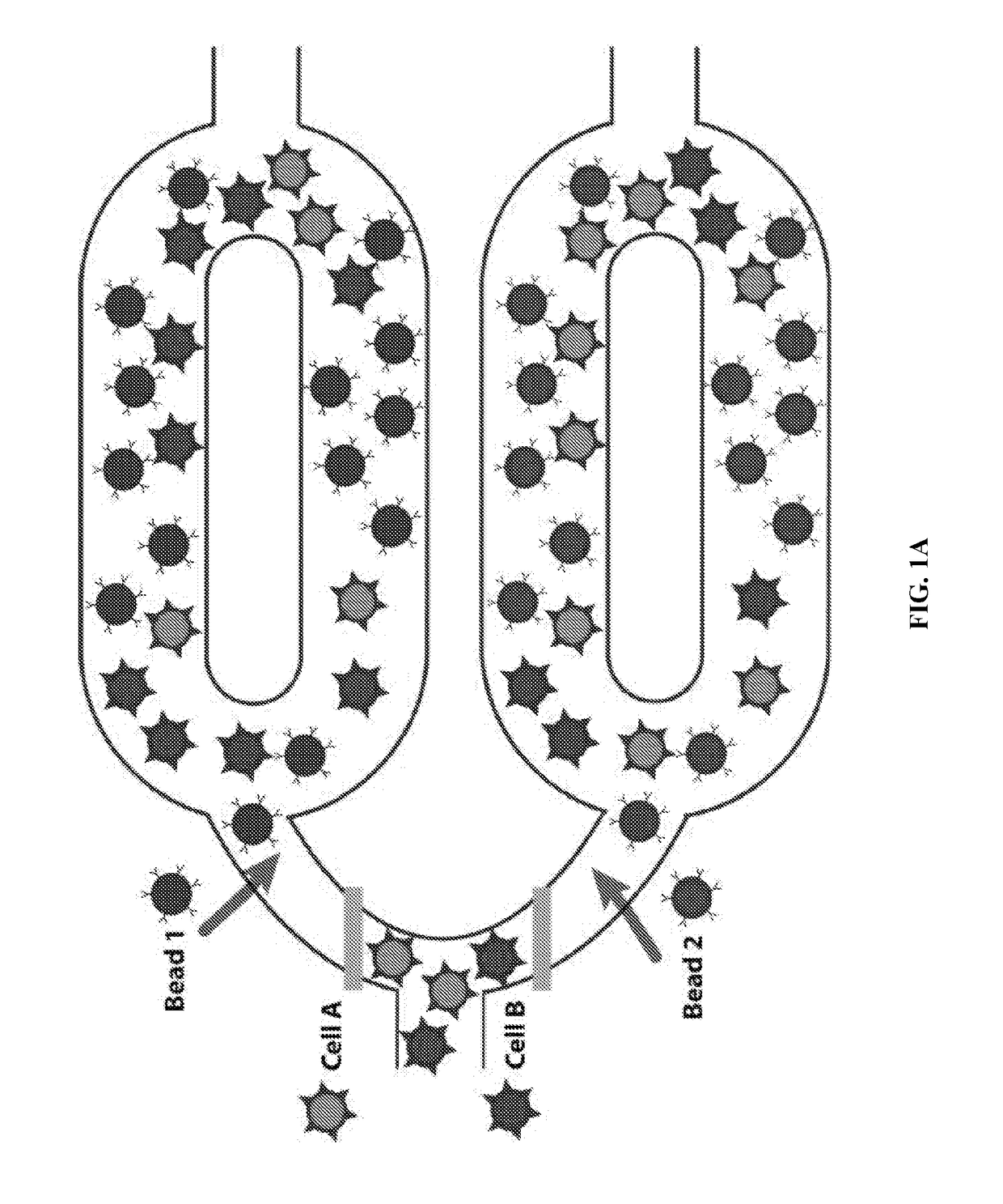 Multi-stage, multiplexed target isolation and processing from heterogeneous populations