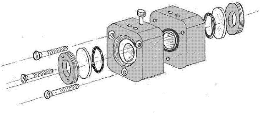 Method for multi-parameter detection of ocular irritation by using in-vitro animal cornea model