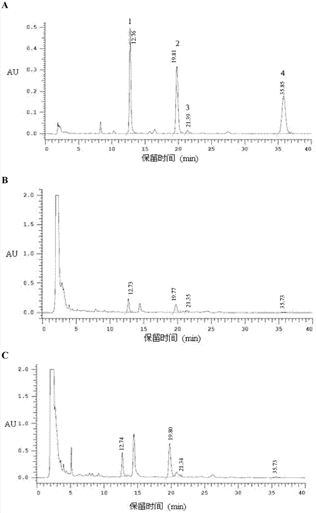 Method of increasing content of tanshinone in hairy roots of salvia miltiorrhiza bunge through cotransformation of SmHMGR and SmDXR double genes