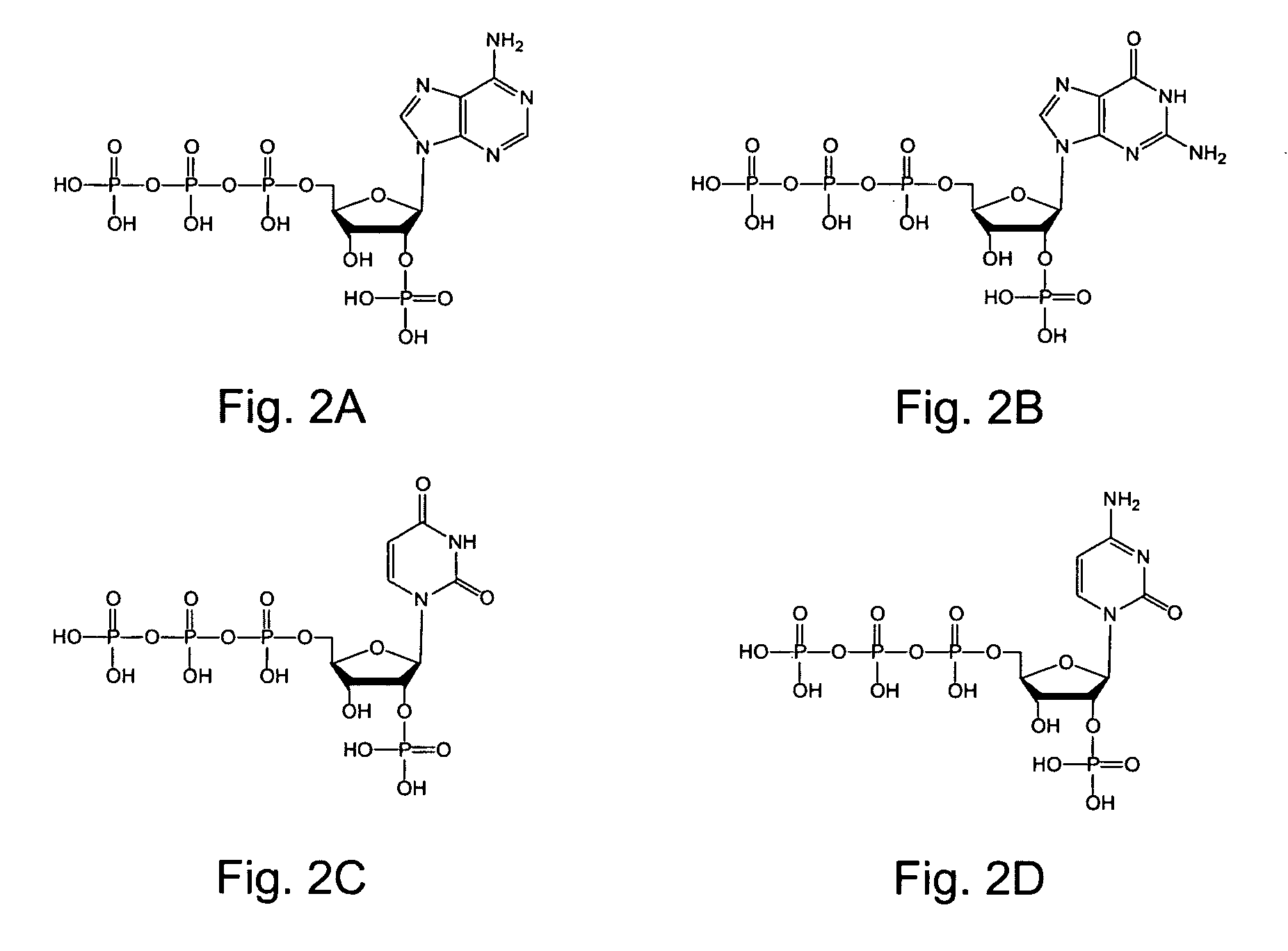 2'-Terminator related pyrophosphorolysis activated polymerization