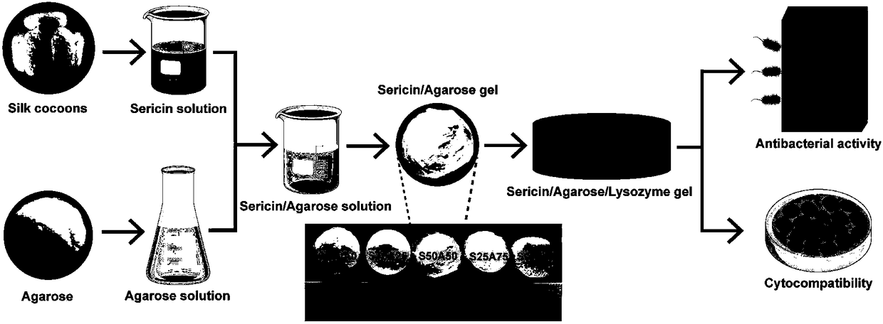 Preparation method of sericin/agarose gel loaded with lysozyme and application thereof