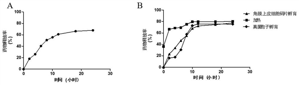 Nanometer mesoporous carbon eye drops loaded with natamycin and silver as well as preparation method and application thereof