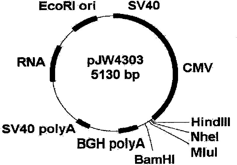 Medicine containing bacillus tubercle vaccine