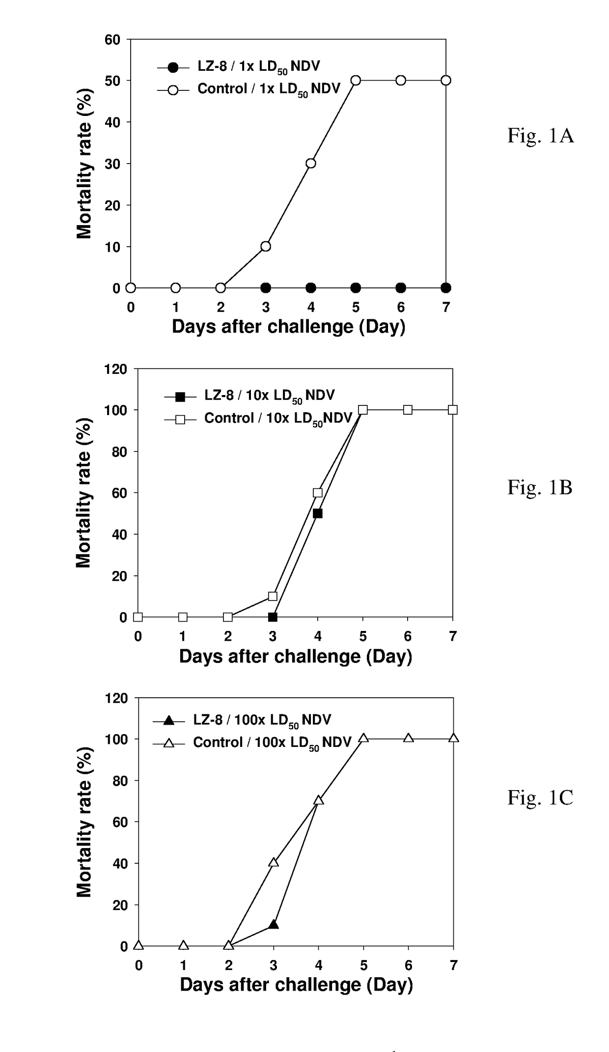 Uses of starch binding protein (SBP)-tagged immunostimulatory protein