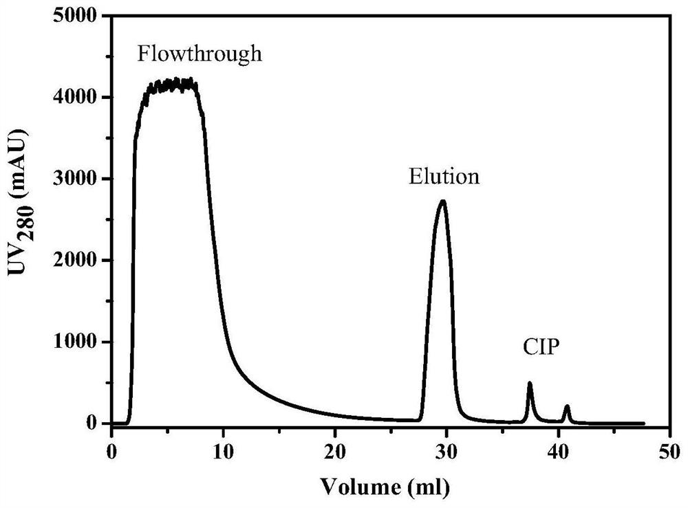 A mixed-mode chromatographic method for separating human albumin from yeast fermentation broth