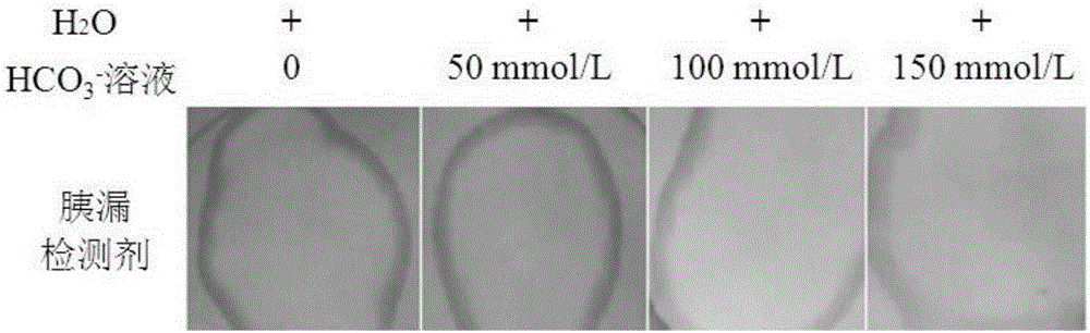 Pancreatic leakage detection agent based on divalent cobalt ions and application of pancreatic leakage detection agent