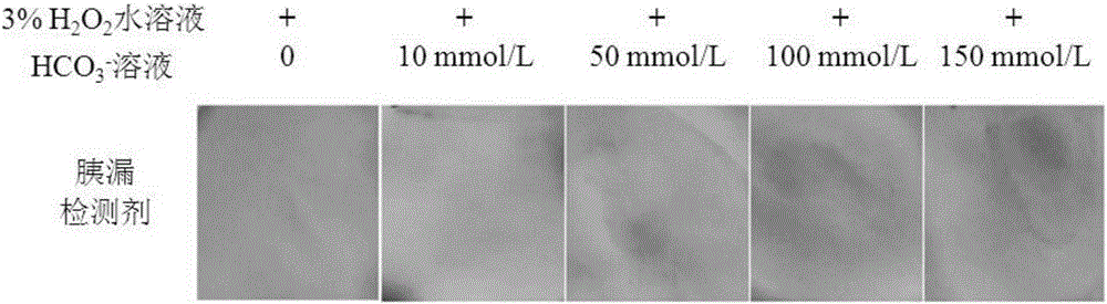 Pancreatic leakage detection agent based on divalent cobalt ions and application of pancreatic leakage detection agent