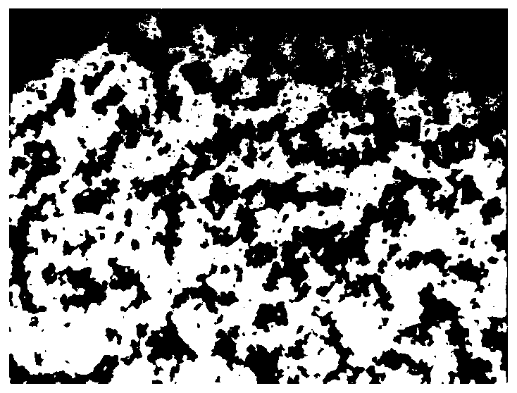 Preparation method of large-diameter graphene and large-diameter graphene