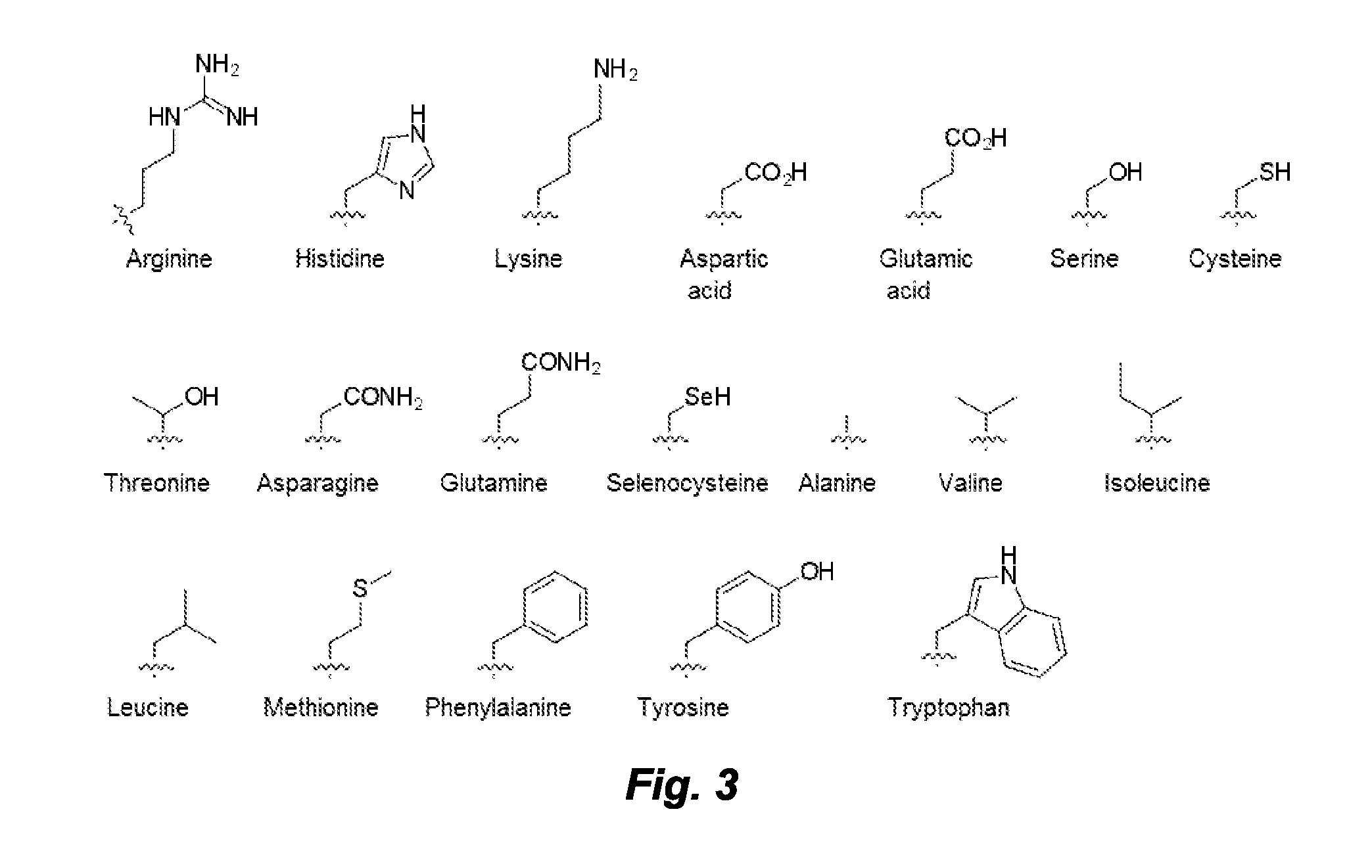 Left-Handed Gamma-Peptide Nucleic Acids, Methods of Synthesis and Uses Therefor