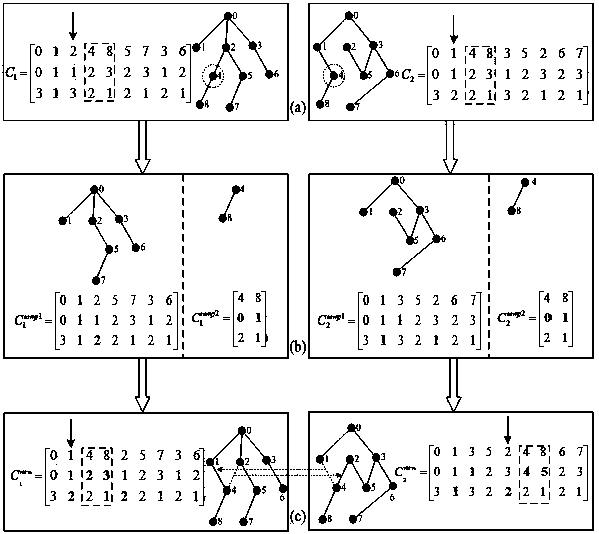 Coding and genetic algorithm suitable for power distribution network and application in distribution network reconfiguration