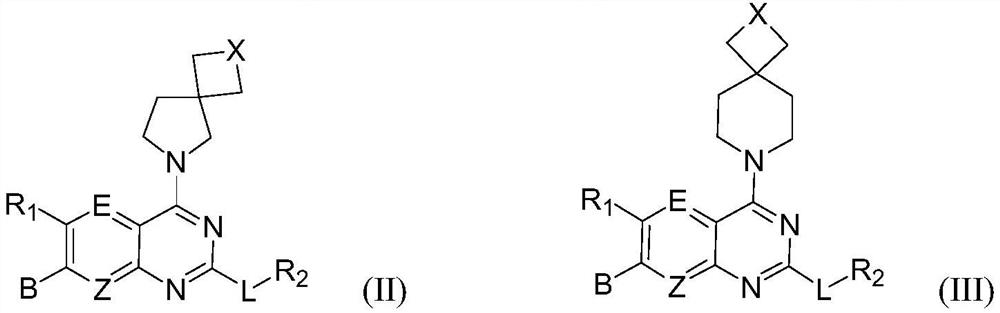 Spiro-substituted pyrimido-cyclic compound, and preparation method and medical application thereof