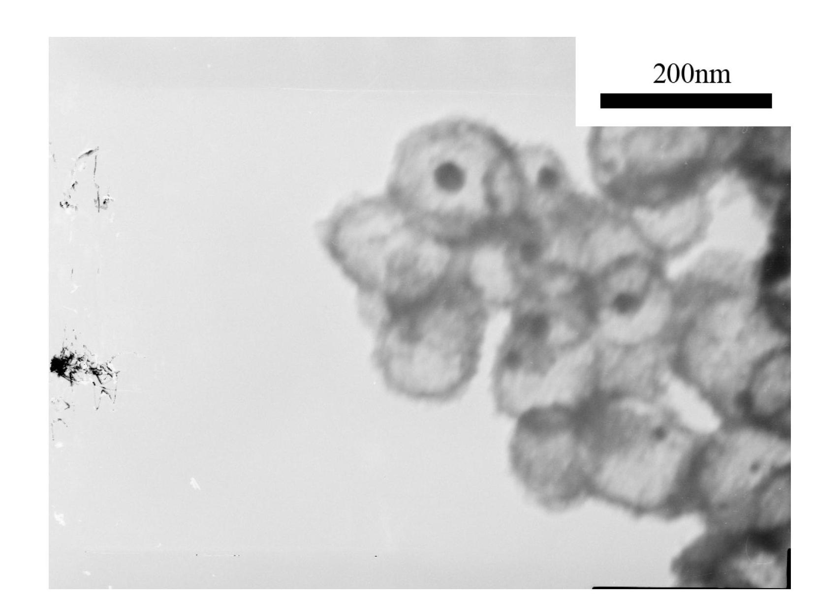 Method for preparing gold/titanium dioxide core-shell nanoparticle