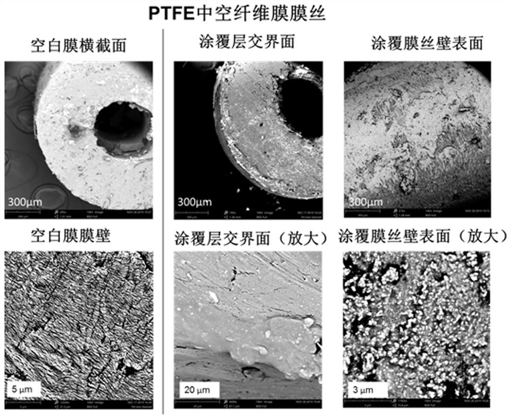 Ozone catalytic oxidation wastewater treatment device and treatment method