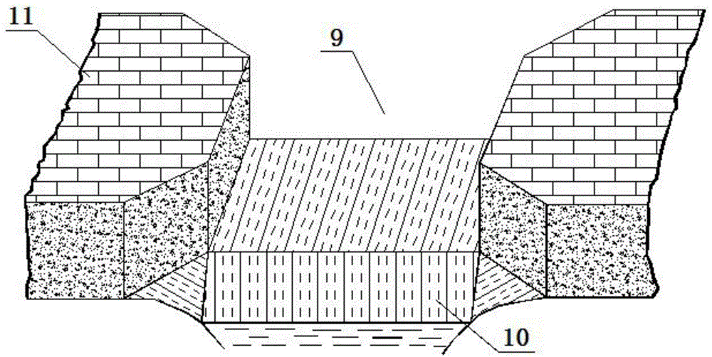 Protection system for fish habitat at water-reduction stream segment of hydropower station