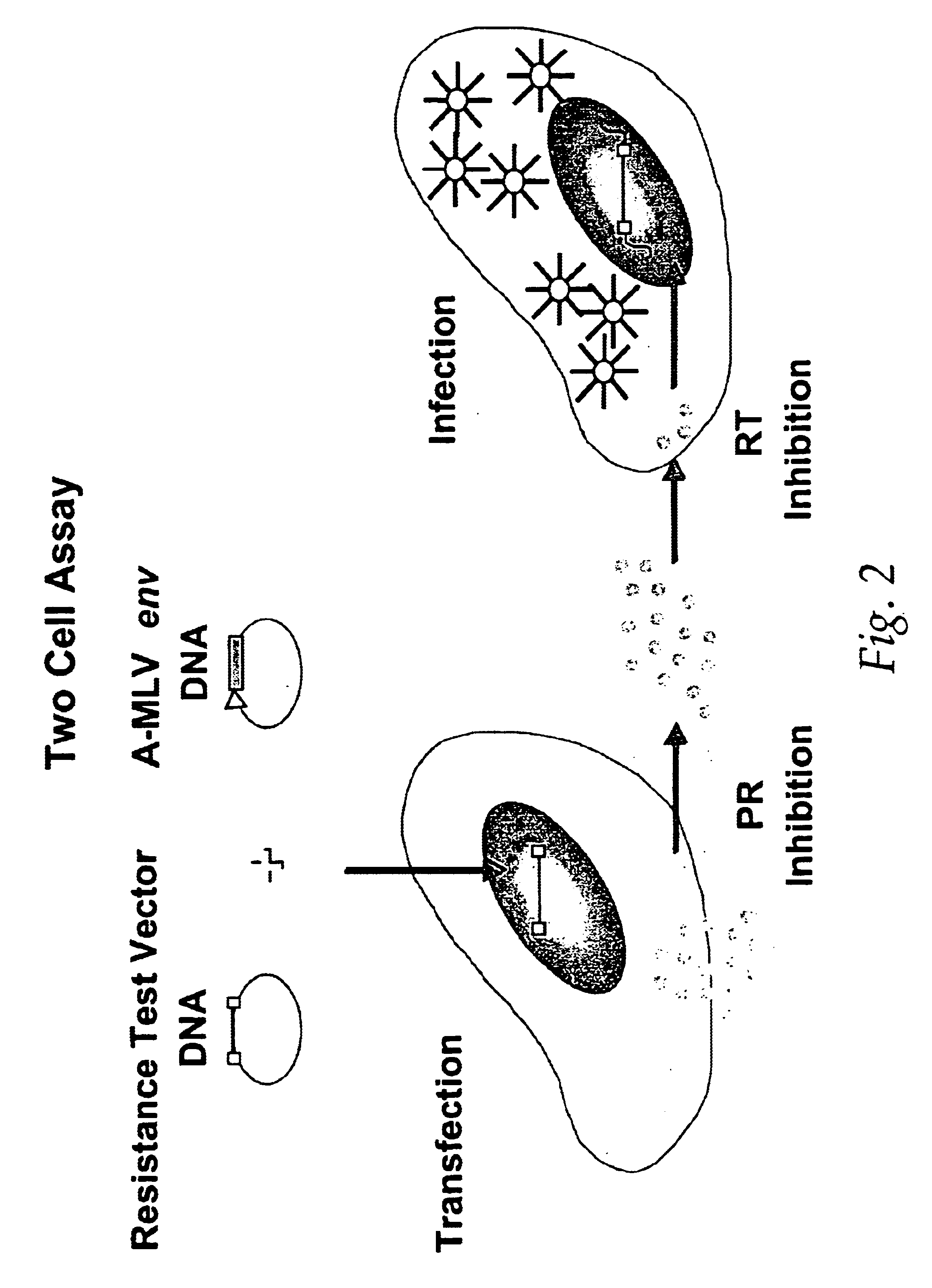 Means and methods for monitoring non-nucleoside reverse transcriptase inhibitor antiretroviral therapy and guiding therapeutic decisions in the treatment of HIV/AIDS