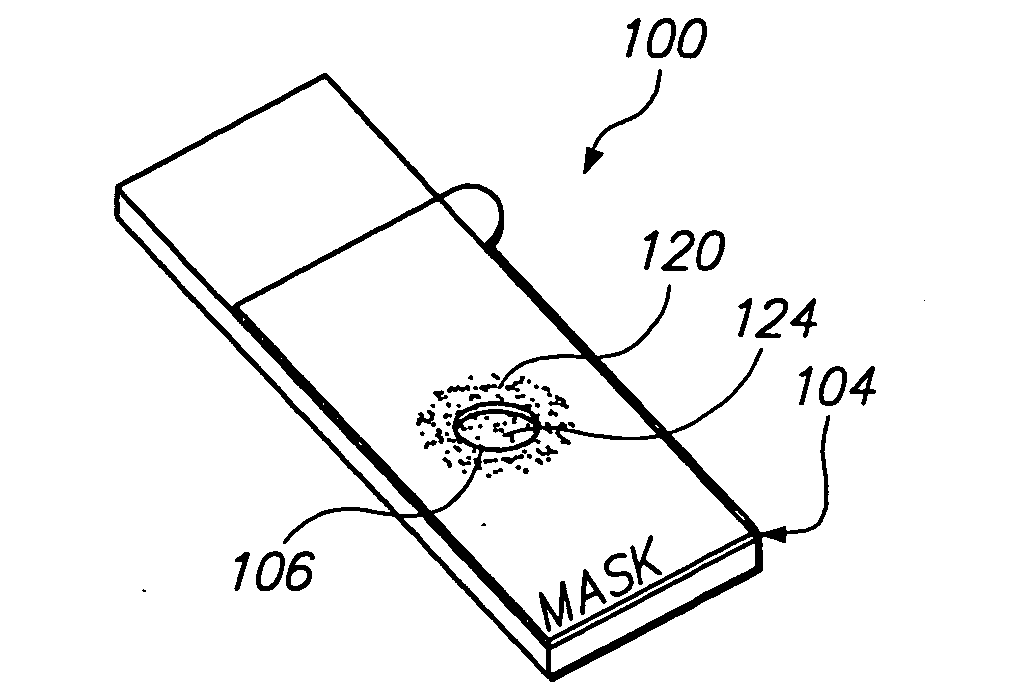 Microscope slide mask and method