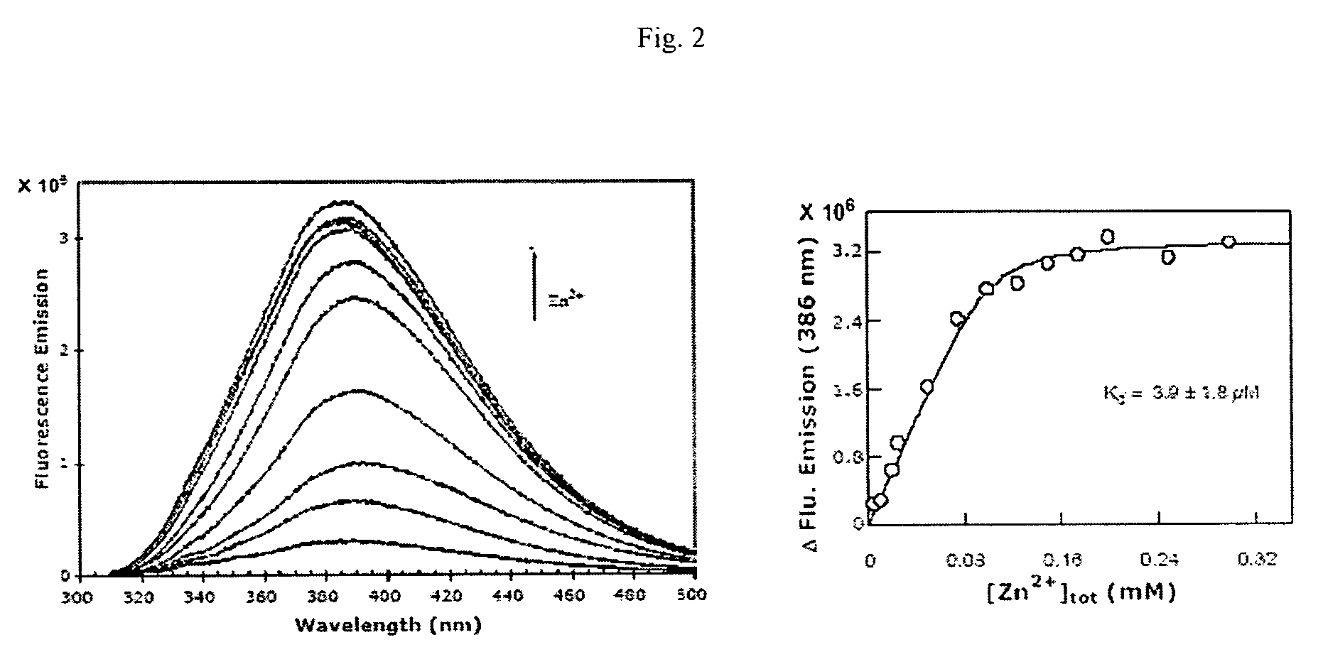 Divalent metal ion sensors and binders