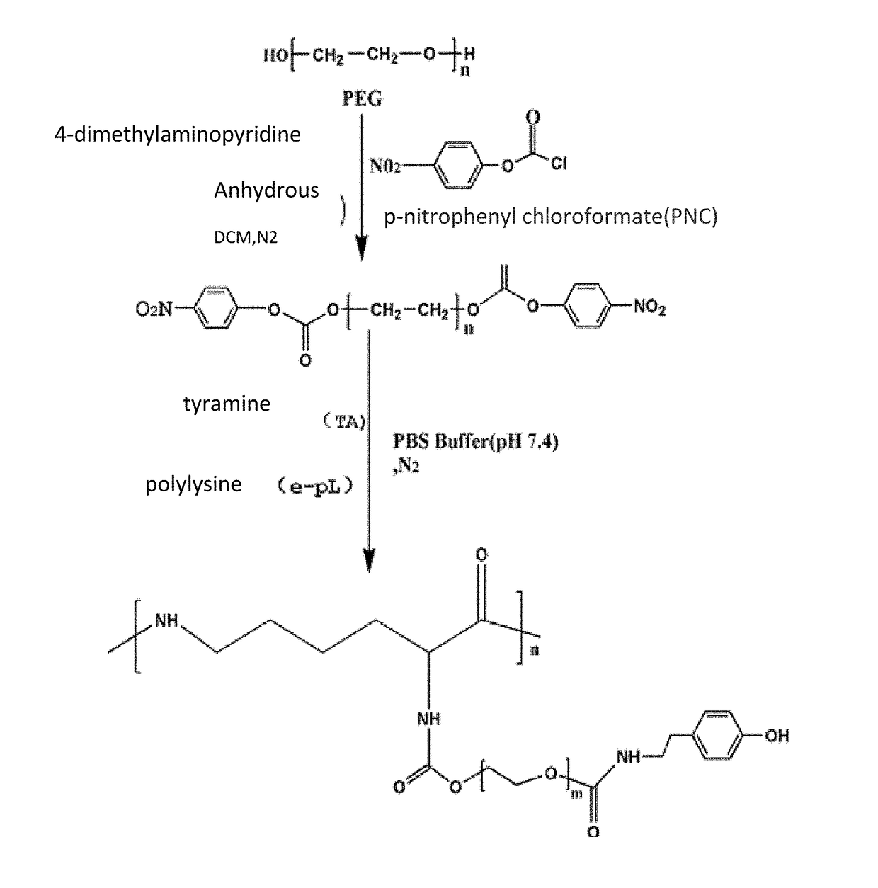 E-polylysine hydrogel and preparation method and application thereof