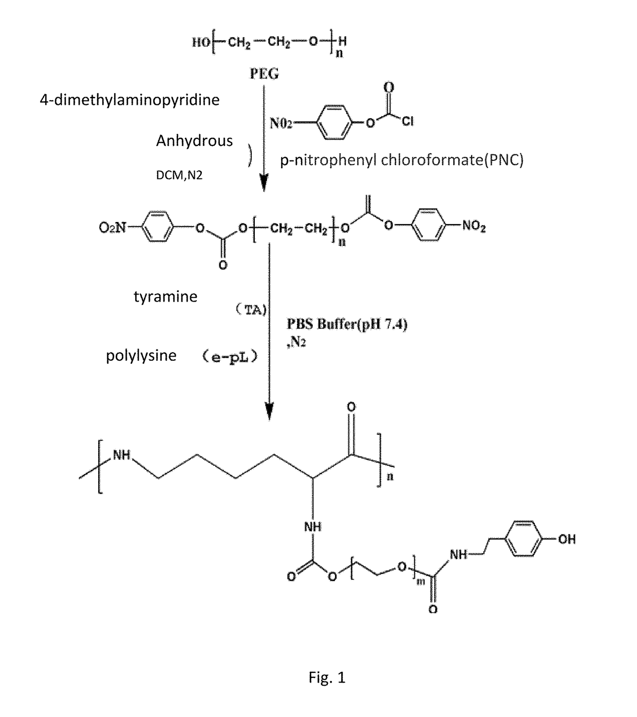 E-polylysine hydrogel and preparation method and application thereof