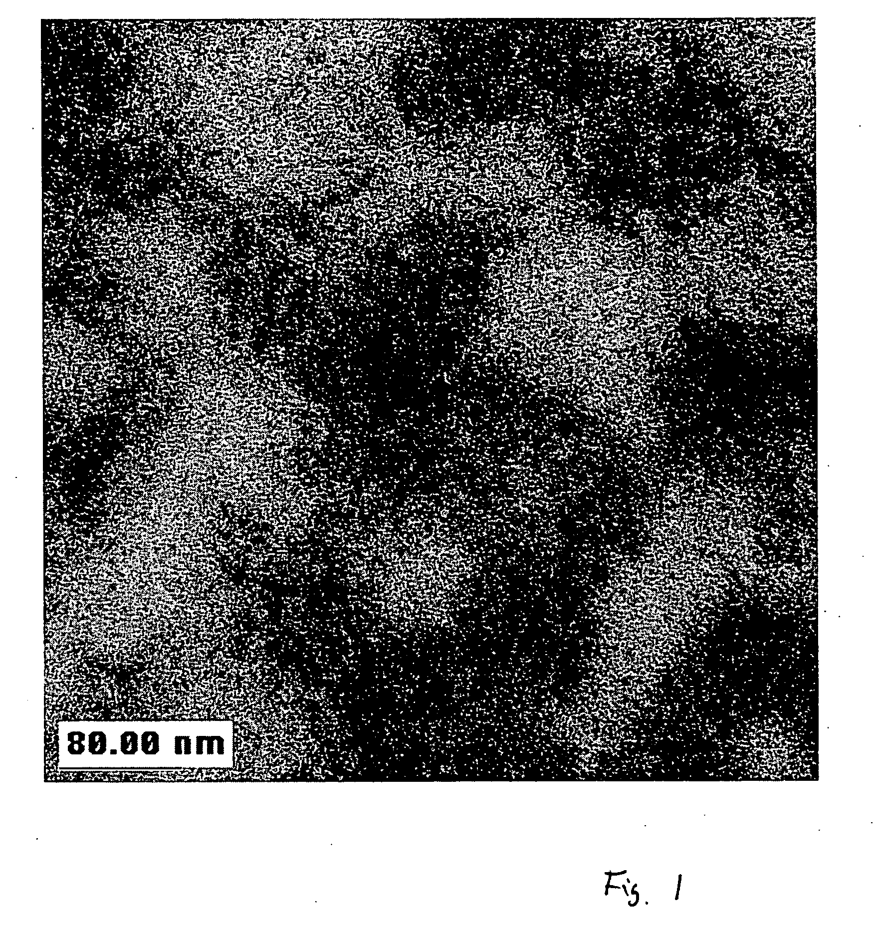 Polymeric nano-particles of flower-like structure and applications