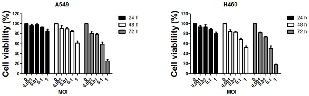 A kind of oncolytic virus and its application