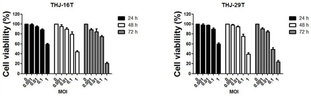 A kind of oncolytic virus and its application