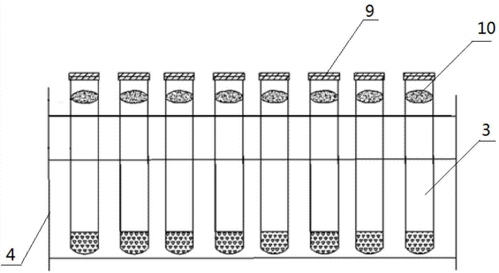 Rapid butyl xanthate detection kit and detection method thereof