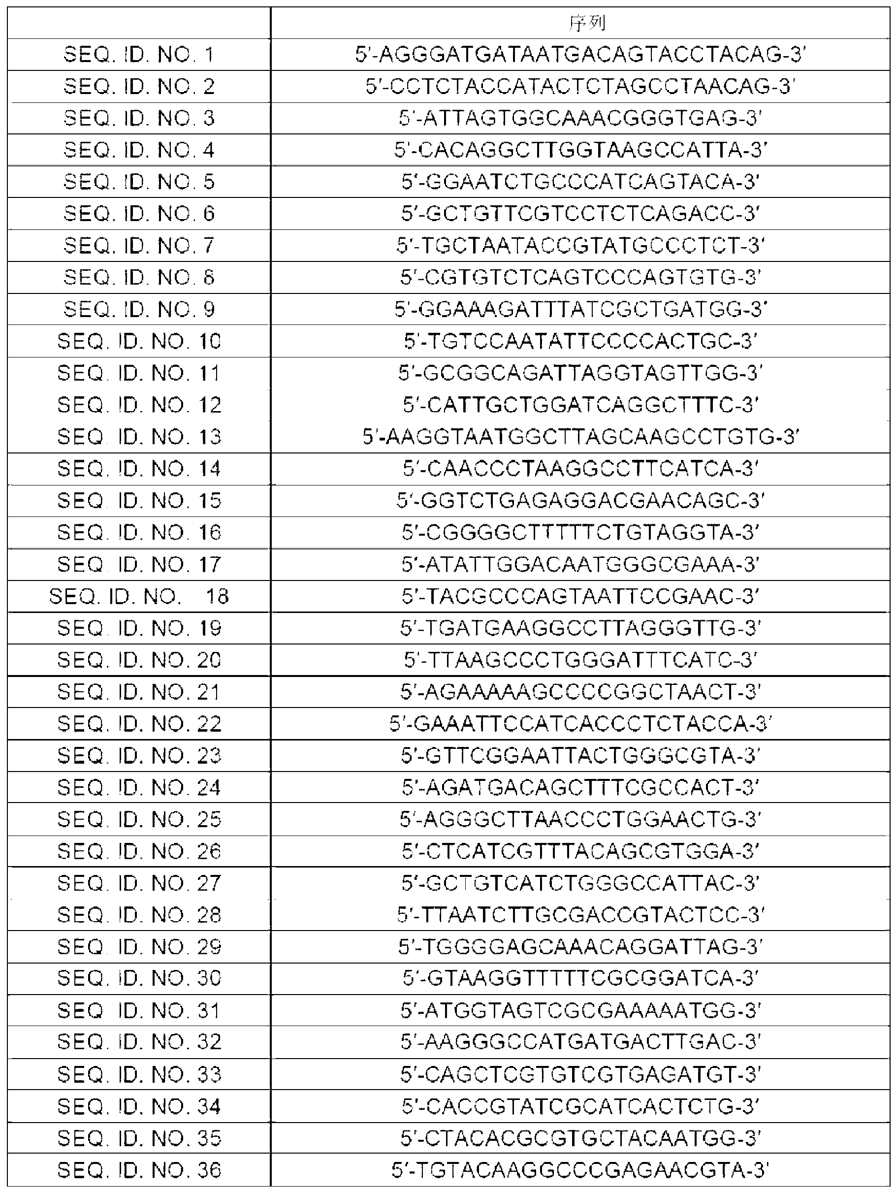 Primer pairs for detecting orientia tsutsugamushi and detection method using the same