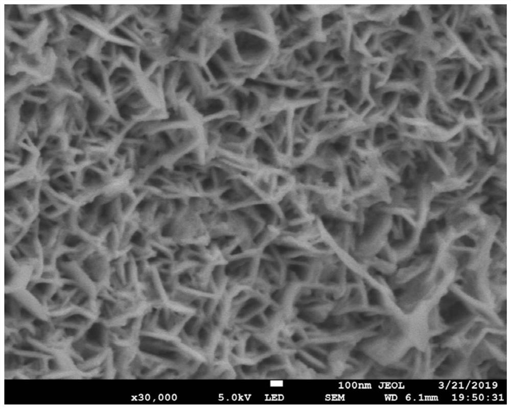 Preparation method of a sheet self-assembled starfish-shaped nickel-rich nickel telluride catalyst