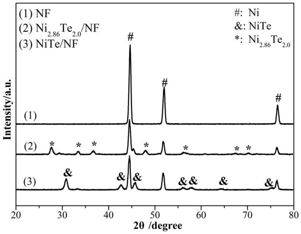 Preparation method of a sheet self-assembled starfish-shaped nickel-rich nickel telluride catalyst