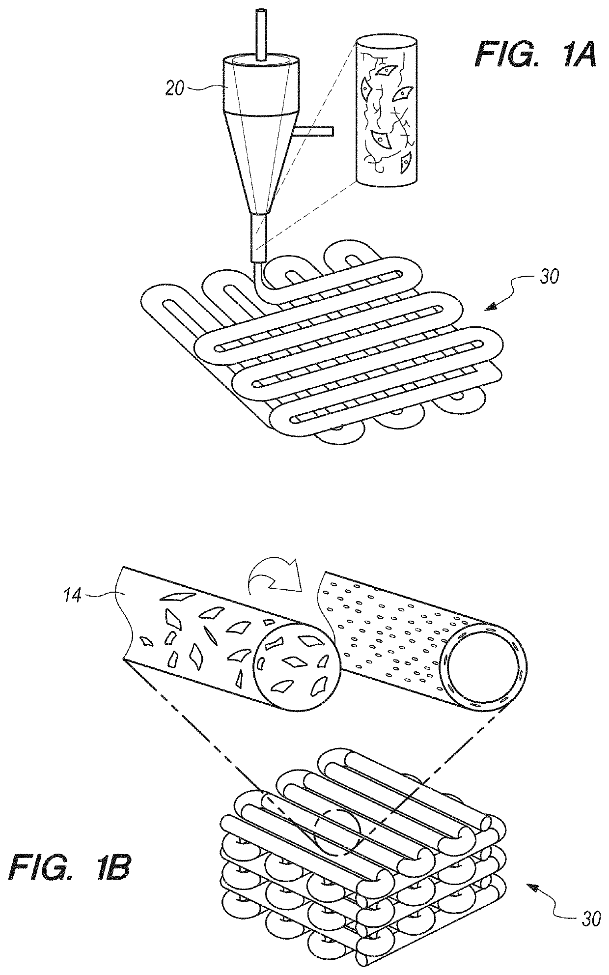 Additive Manufacturing of Functional Myocardial Tissue