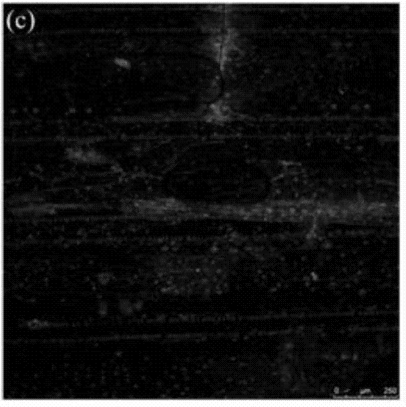 Method for in-situ determination of wood fiber biomass enzyme accessibility