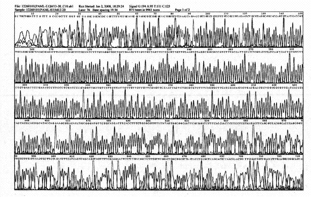 B-cell antigenic multi-epitope peptide linked in tandem in OmpU of vibrio mimicus, making method and application thereof