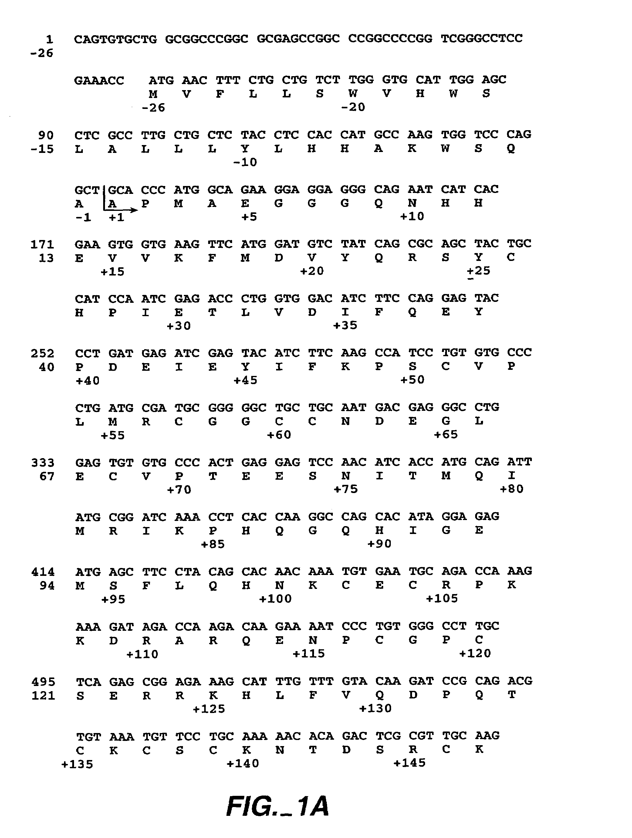 Vascular endothelial cell growth factor variants and uses thereof